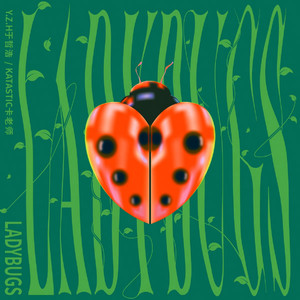 原纱央莉写真无码流出
