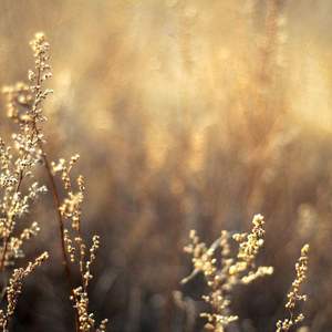 原纱央莉写真无码流出
