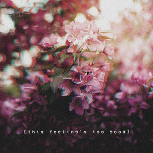 原纱央莉写真无码流出
